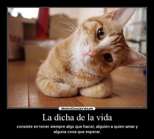 La dicha de la vida - consiste en tener siempre algo que hacer, alguien a quien amar y
alguna cosa que esperar.