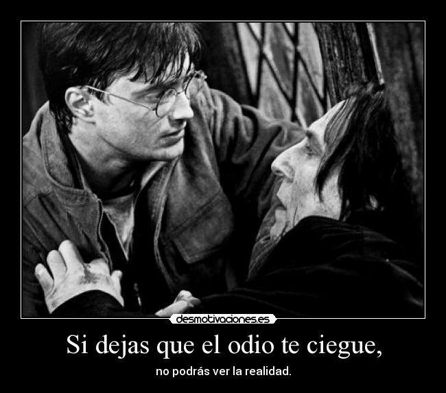 carteles odio harry potter snape desmotivaciones