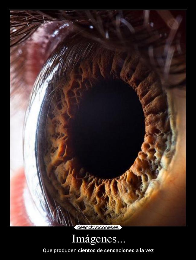 Imágenes... - Que producen cientos de sensaciones a la vez