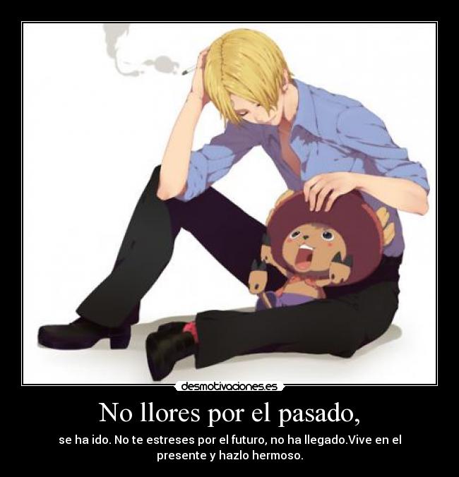 carteles pasado one piece chopper sanji anime manga desmotivaciones