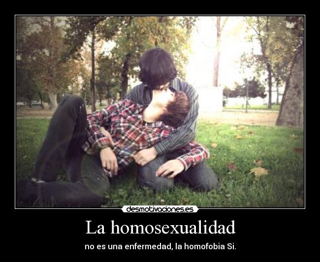 La homosexualidad - 
