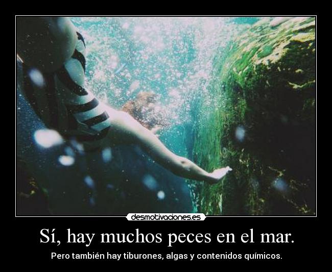 Sí, hay muchos peces en el mar. - Pero también hay tiburones, algas y contenidos químicos.