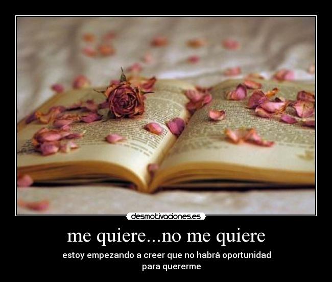 me quiere...no me quiere - estoy empezando a creer que no habrá oportunidad
     para quererme