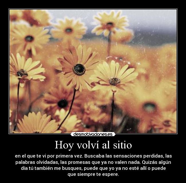 Hoy volví al sitio -