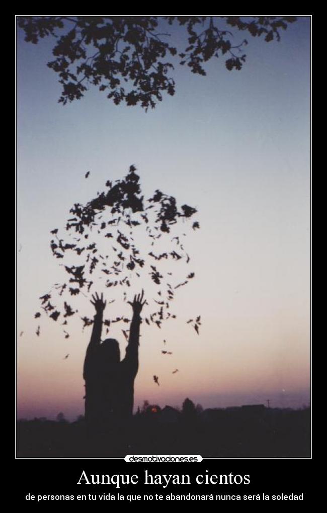 carteles 321janin ahora niegalo venga llega otonooo jojoo desmotivaciones