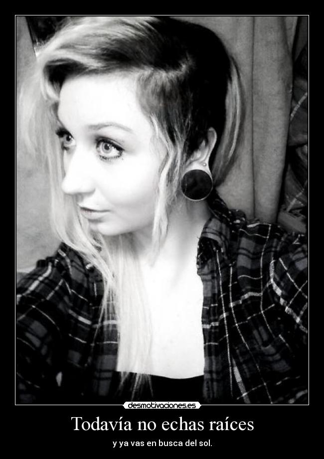 Todavía no echas raíces - 