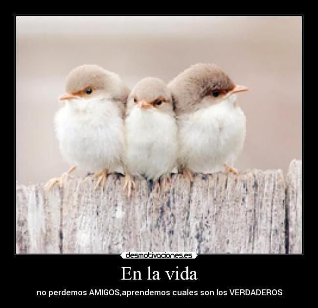 En la vida - 