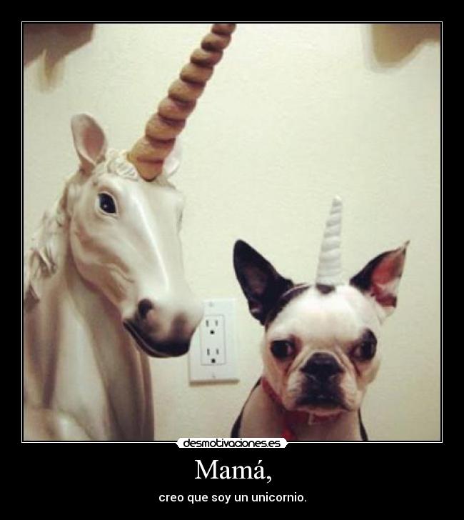 Mamá, - creo que soy un unicornio.