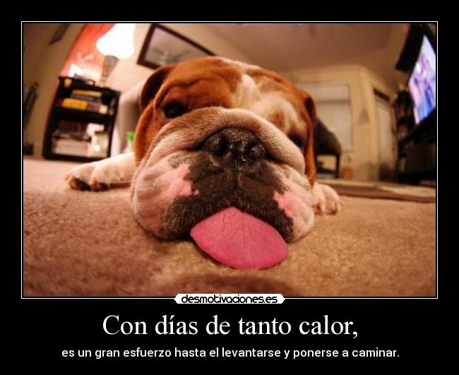 Con días de tanto calor, -