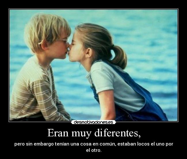 carteles the notebook desmotivaciones