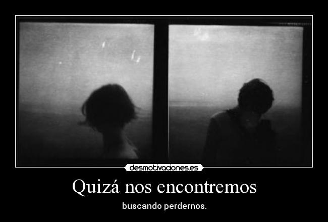 carteles pido disculpas pido secas desmotivaciones