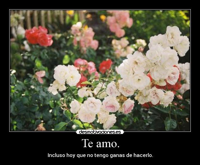 Te amo. - Incluso hoy que no tengo ganas de hacerlo.