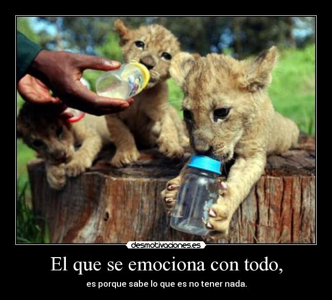 El que se emociona con todo, - es porque sabe lo que es no tener nada.
