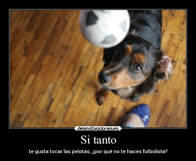 Si tanto - te gusta tocar las pelotas, ¿por qué no te haces futbolista?