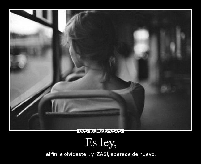 carteles cartel dedicado para los que sufren agridulce del amor desmotivaciones