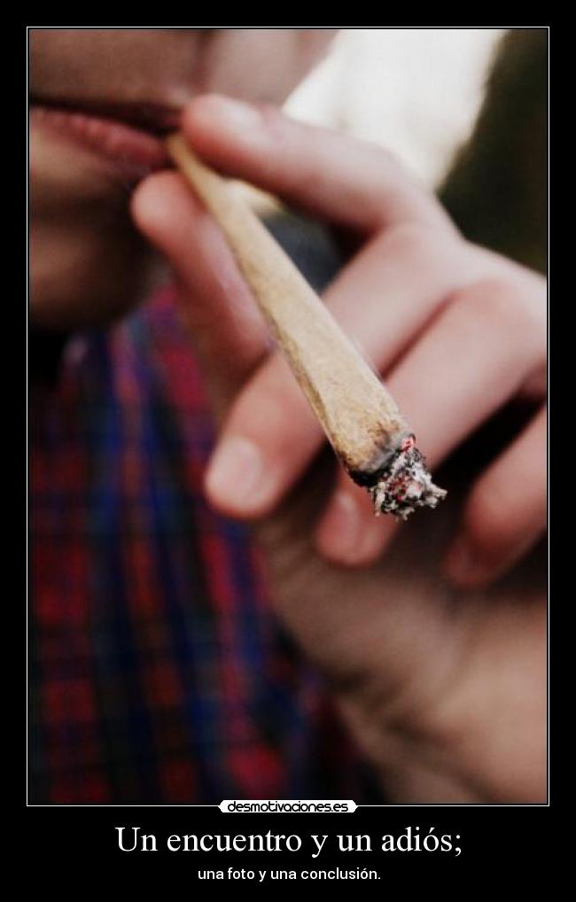 Un encuentro y un adiós; - una foto y una conclusión.