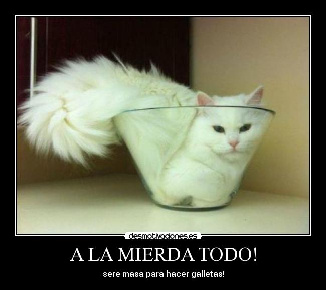 A LA MIERDA TODO! - sere masa para hacer galletas!