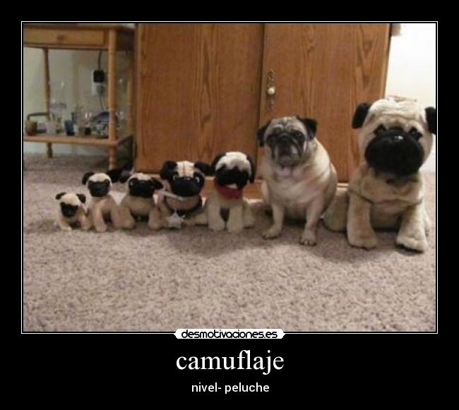 camuflaje - nivel- peluche