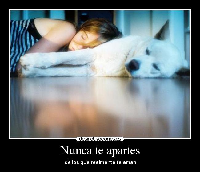 Nunca te apartes -