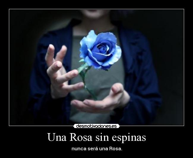 Una Rosa sin espinas - 