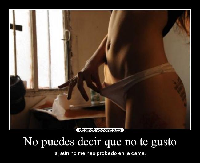 No puedes decir que no te gusto - 