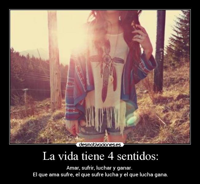 La vida tiene 4 sentidos: -