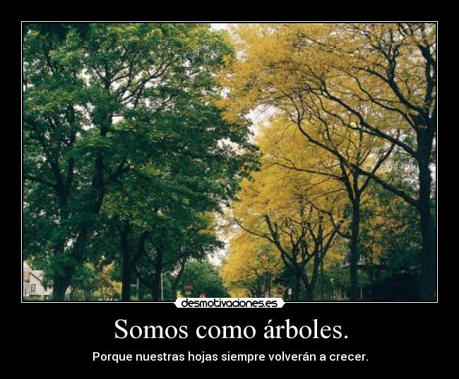 Somos como árboles. - Porque nuestras hojas siempre volverán a crecer.