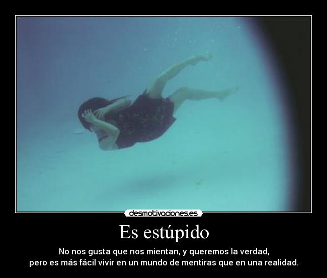 Es estúpido - No nos gusta que nos mientan, y queremos la verdad,
pero es más fácil vivir en un mundo de mentiras que en una realidad.