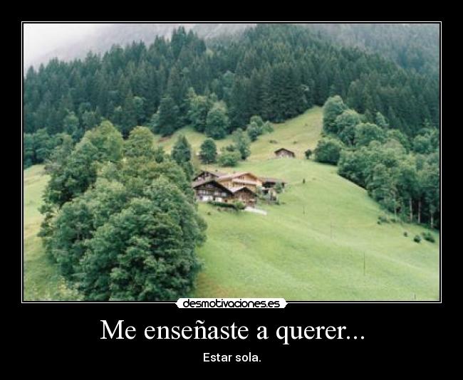 Me enseñaste a querer... - Estar sola.