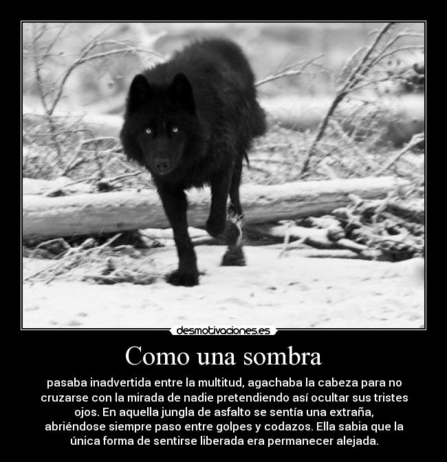 Como una sombra - 