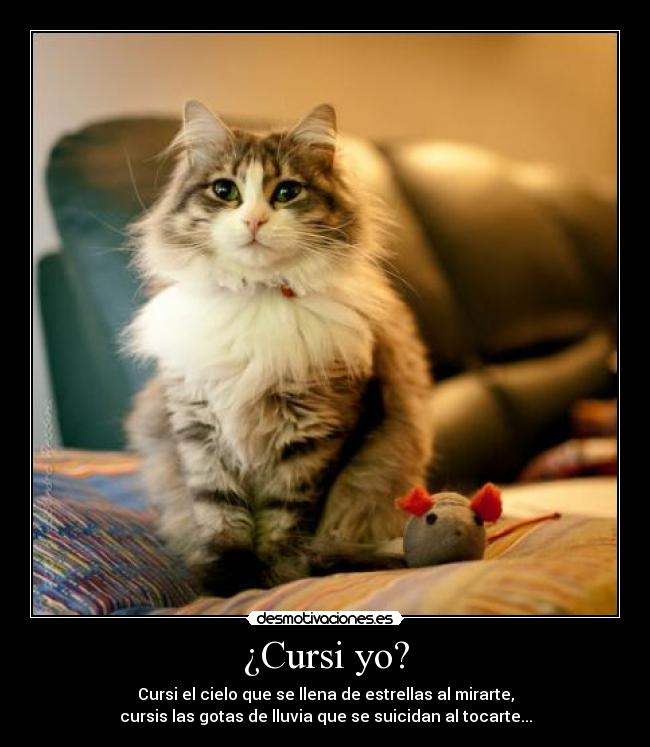 carteles cursi tato desmotivaciones