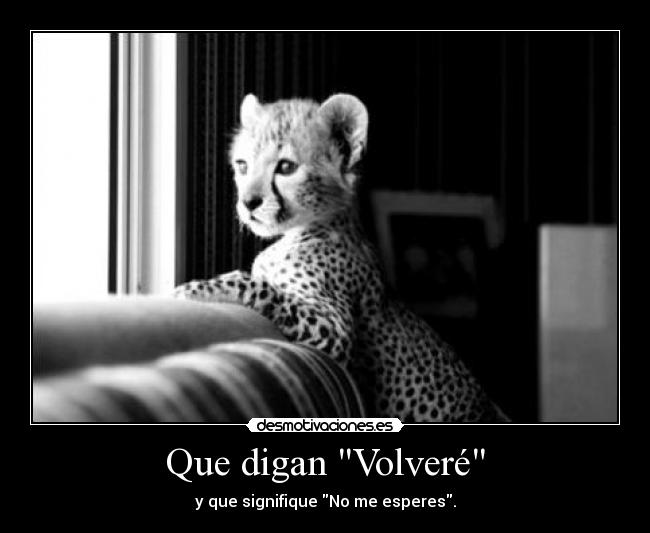 Que digan Volveré - 