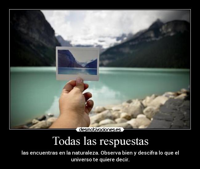 Todas las respuestas - las encuentras en la naturaleza. Observa bien y descifra lo que el
universo te quiere decir.