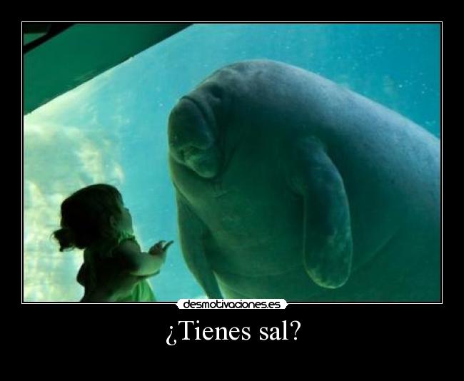 ¿Tienes sal? - 