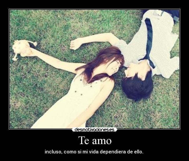 carteles amo desmotivaciones