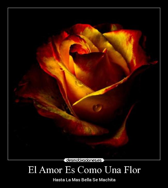 El Amor Es Como Una Flor -