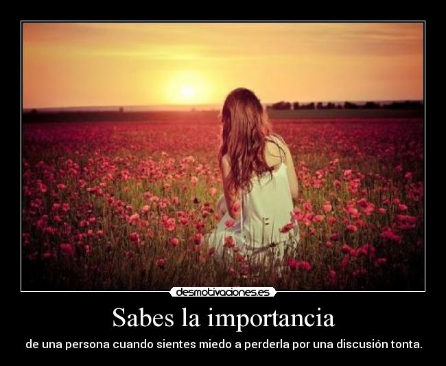 Sabes la importancia - 