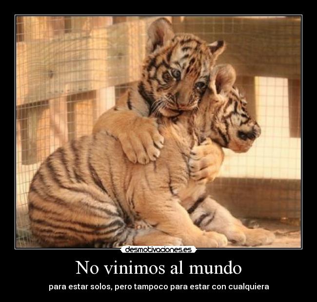 No vinimos al mundo - 