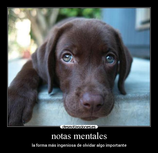 notas mentales - 