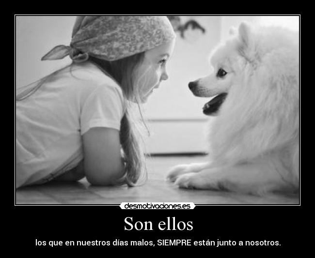 Son ellos - los que en nuestros días malos, SIEMPRE están junto a nosotros.