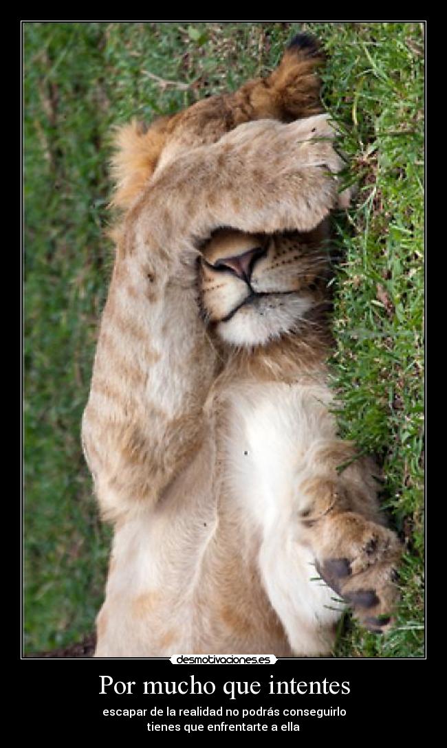 Por mucho que intentes -