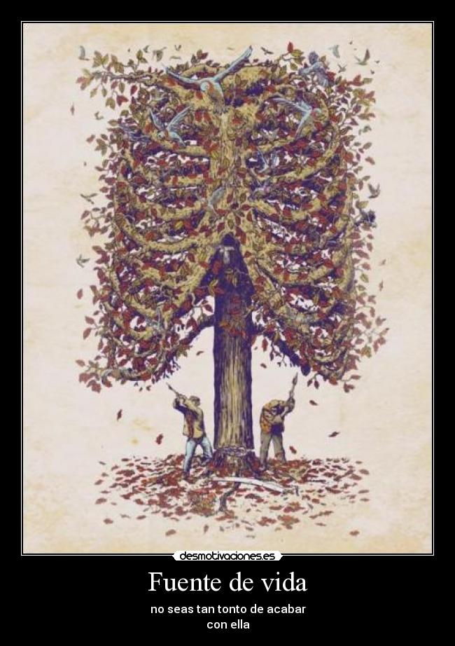 Fuente de vida -