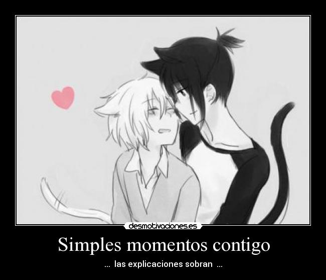 carteles tonomon mew face desmotivaciones