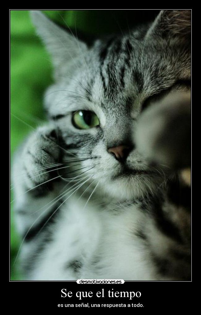 Se que el tiempo - 
