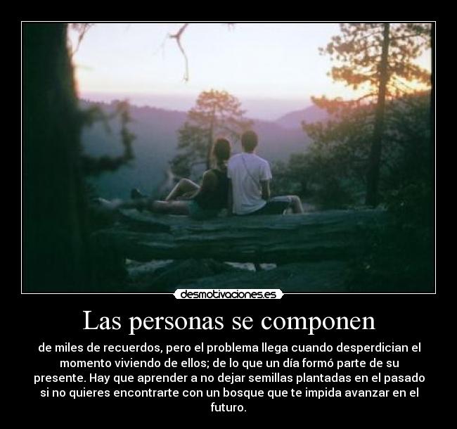 Las personas se componen - de miles de recuerdos, pero el problema llega cuando desperdician el
momento viviendo de ellos; de lo que un día formó parte de su
presente. Hay que aprender a no dejar semillas plantadas en el pasado
si no quieres encontrarte con un bosque que te impida avanzar en el
futuro.