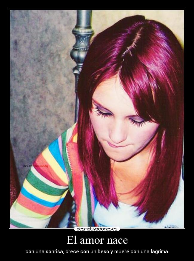 El amor nace -