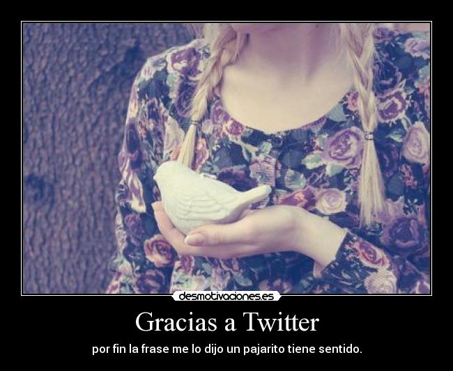 Gracias a Twitter -