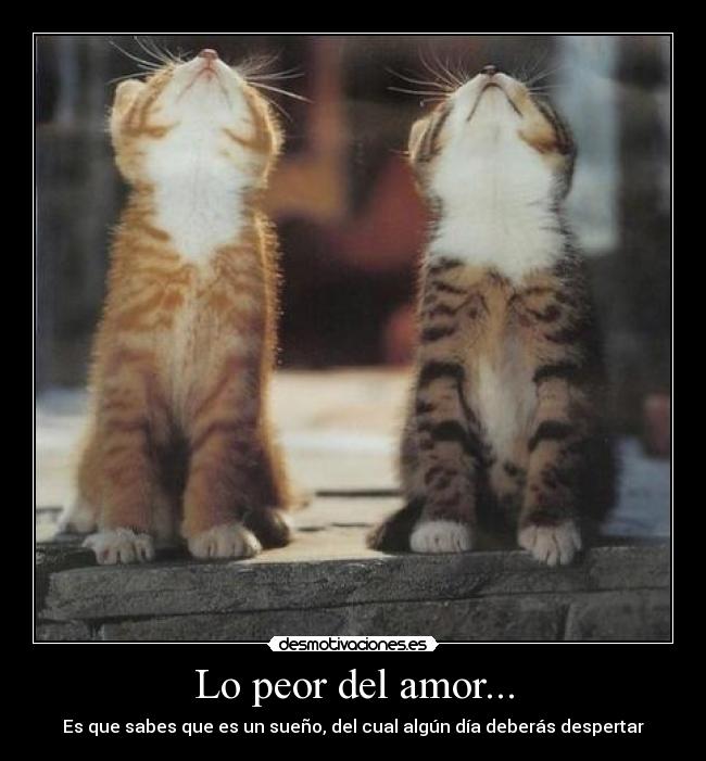 Lo peor del amor... - Es que sabes que es un sueño, del cual algún día deberás despertar