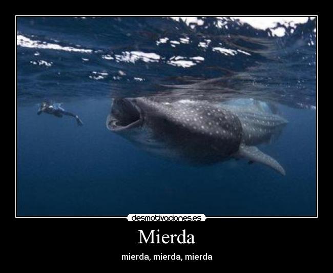 Mierda -