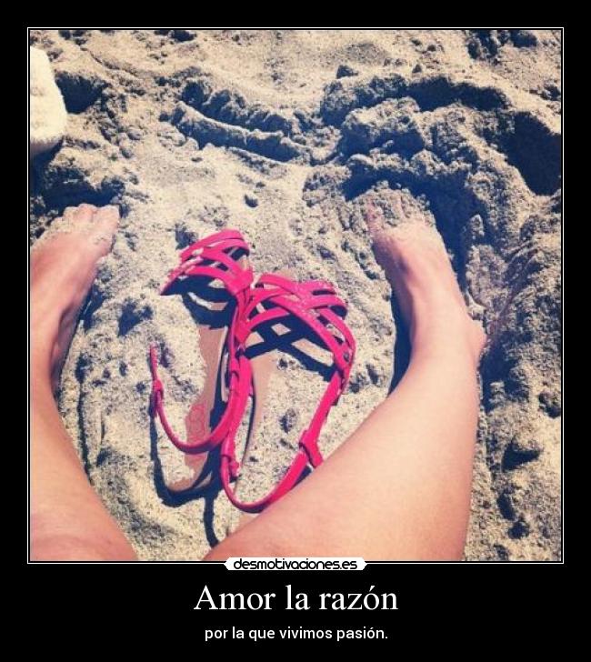 Amor la razón - por la que vivimos pasión.